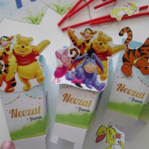 Winnie The Pooh Temalı Parti Konsepti